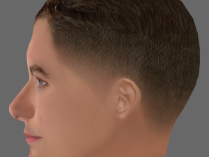 Jude Law Head - Low poly head for game Modelo 3D