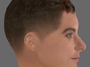 Jude Law Head - Low poly head for game Modelo 3D