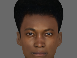 Benjamin Clementine Head - Low poly head for game 3D Model