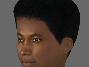 Benjamin Clementine Head - Low poly head for game 3Dモデル