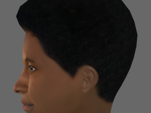 Benjamin Clementine Head - Low poly head for game 3Dモデル