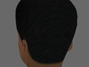 Benjamin Clementine Head - Low poly head for game 3Dモデル