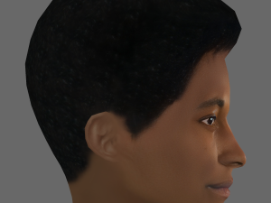 Benjamin Clementine Head - Low poly head for game 3Dモデル