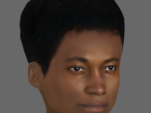 Benjamin Clementine Head - Low poly head for game 3Dモデル