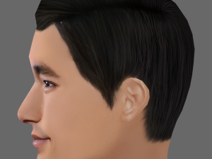 Bruce Lee Head - Low poly head for game Model 3D