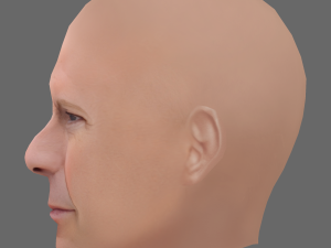 Bruce Willis Head - Low poly head for game Model 3D