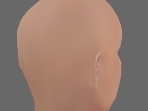 Bruce Willis Head - Low poly head for game Model 3D