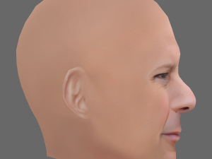 Bruce Willis Head - Low poly head for game Model 3D