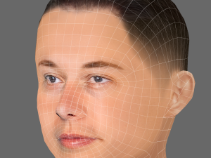 Elon Musk Head - Low poly head for game 3D Модель