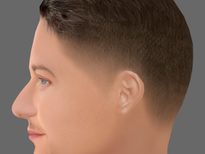 James McAvoy Head - Low poly head for game 3D 모델