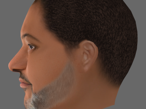 Laurence Fishburne Head - Low poly head for game 3D Model