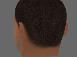Laurence Fishburne Head - Low poly head for game 3D Model