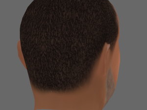 Laurence Fishburne Head - Low poly head for game 3D Model