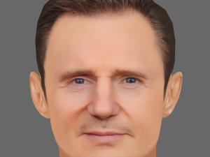 Liam Neeson Head - Low poly head for game 3D Model