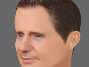 Liam Neeson Head - Low poly head for game 3D Model