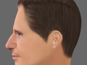 Liam Neeson Head - Low poly head for game 3D Model