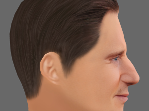 Liam Neeson Head - Low poly head for game 3D Model
