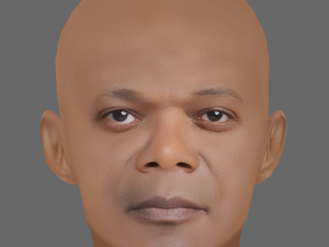Samuel L Jackson Head - Low poly head for game 3Dモデル