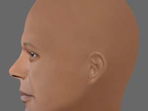 Samuel L Jackson Head - Low poly head for game 3D Model