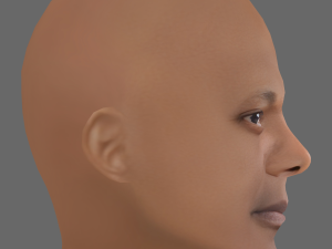 Samuel L Jackson Head - Low poly head for game 3D Model