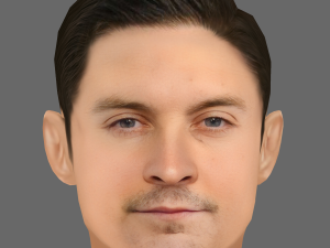 Tobey Maguire Head - Low poly head for game 3Dモデル