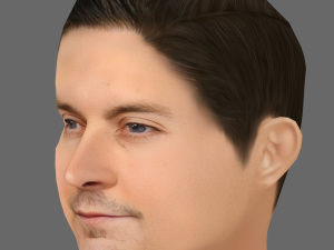 Tobey Maguire Head - Low poly head for game Model 3D
