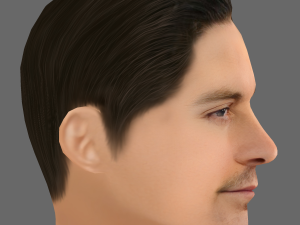 Tobey Maguire Head - Low poly head for game Model 3D