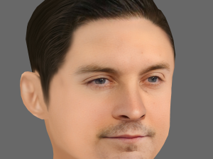 Tobey Maguire Head - Low poly head for game Model 3D