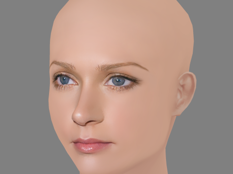 A J Cook Head - No Hair - Low poly head for game Model 3D