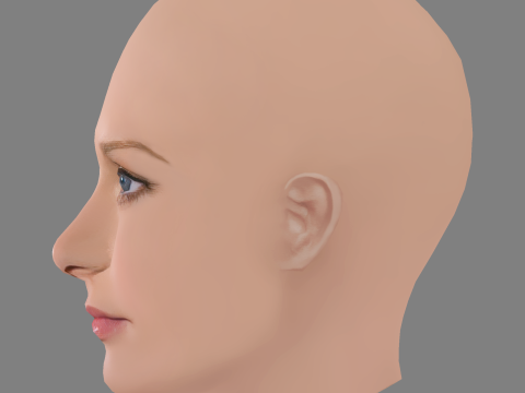 A J Cook Head - No Hair - Low poly head for game Model 3D