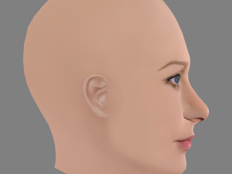 A J Cook Head - No Hair - Low poly head for game Model 3D