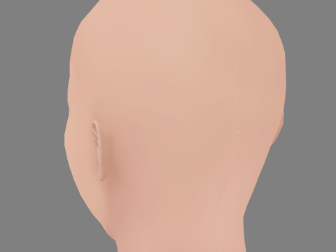 Abbie Cornish Head - No Hair - Low poly head for game 3D Model
