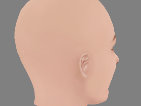 Abbie Cornish Head - No Hair - Low poly head for game 3D Model