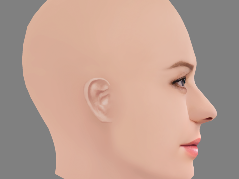 Abbie Cornish Head - No Hair - Low poly head for game 3D Model