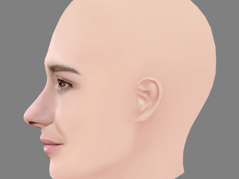 Addison Timlin Head - No Hair - Low poly head for game 3D Модель