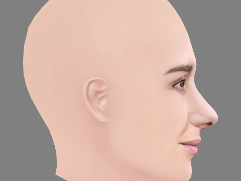 Addison Timlin Head - No Hair - Low poly head for game 3D Модель