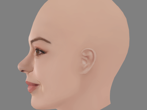 Aimee Teegarden Head - No Hair - Low poly head for game 3D Model