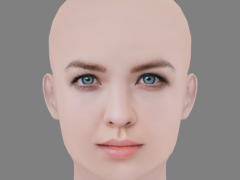 Aislinn Paul Head - No Hair - Low poly head for game 3D 모델