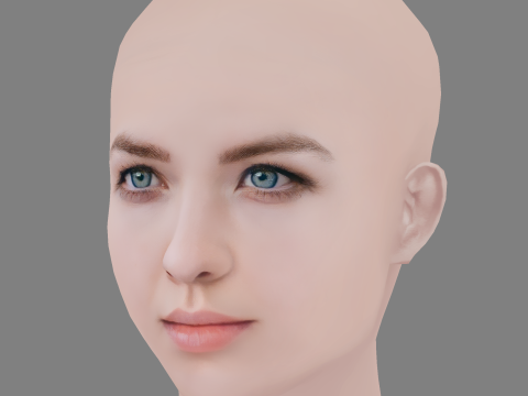 Aislinn Paul Head - No Hair - Low poly head for game 3D 모델