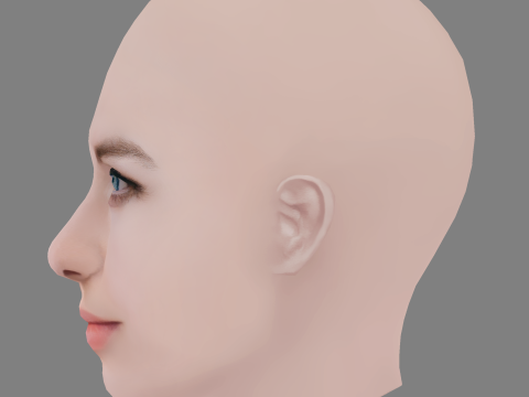 Aislinn Paul Head - No Hair - Low poly head for game 3D 모델