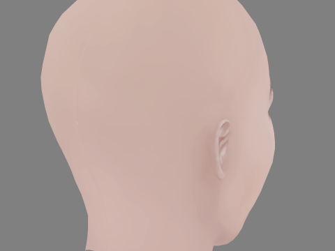 Aislinn Paul Head - No Hair - Low poly head for game 3D 모델