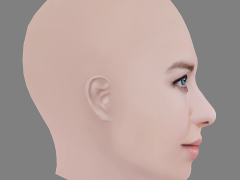 Aislinn Paul Head - No Hair - Low poly head for game 3D 모델