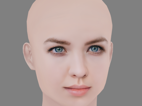 Aislinn Paul Head - No Hair - Low poly head for game 3D 모델