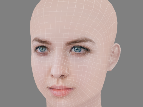 Aislinn Paul Head - No Hair - Low poly head for game 3D 모델
