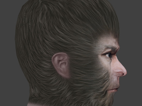 Black Myth Wukong Head - Low Poly Model 3D