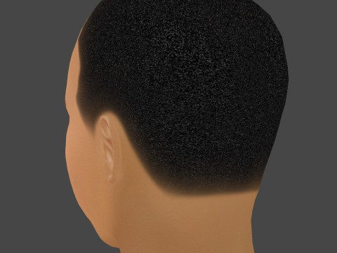 Dr Dre - Andre Romelle Young Head - Low Poly Head Modello 3D