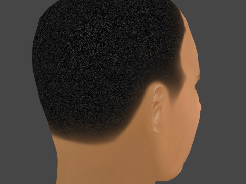 Dr Dre - Andre Romelle Young Head - Low Poly Head Modello 3D
