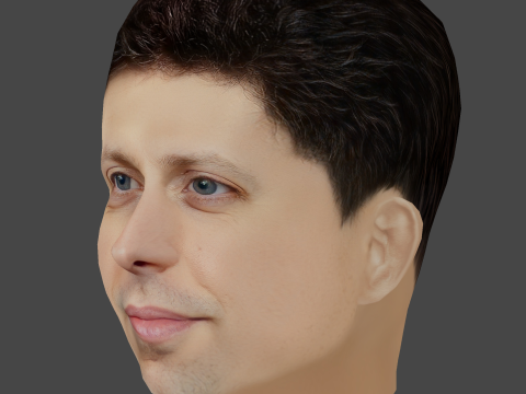 Sam Altman Head - Low poly head for game Modello 3D