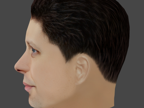 Sam Altman Head - Low poly head for game Modello 3D