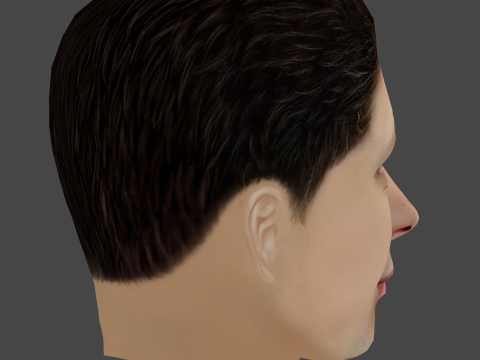 Sam Altman Head - Low poly head for game Modello 3D